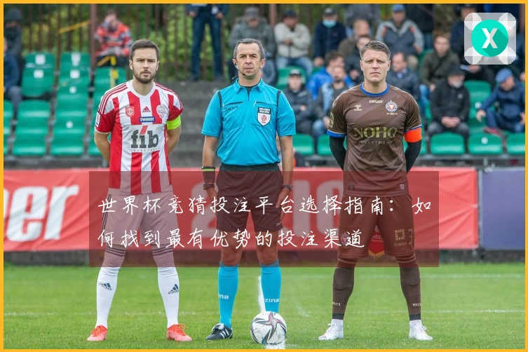 世界杯竞猜投注平台选择指南：如何找到最有优势的投注渠道